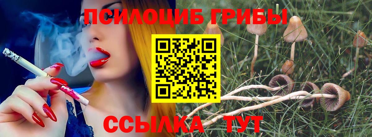 Псилоцибиновые грибы прущие грибы Советский