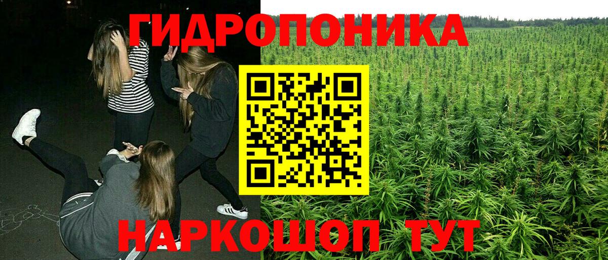 Бошки марихуана сатива Советский